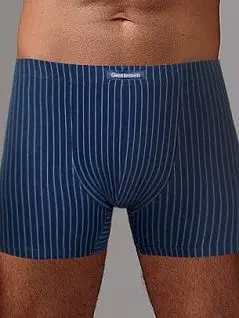 Боксеры на тонкой резинке в полоску Gentlemen DTТм7200 Синий распродажа